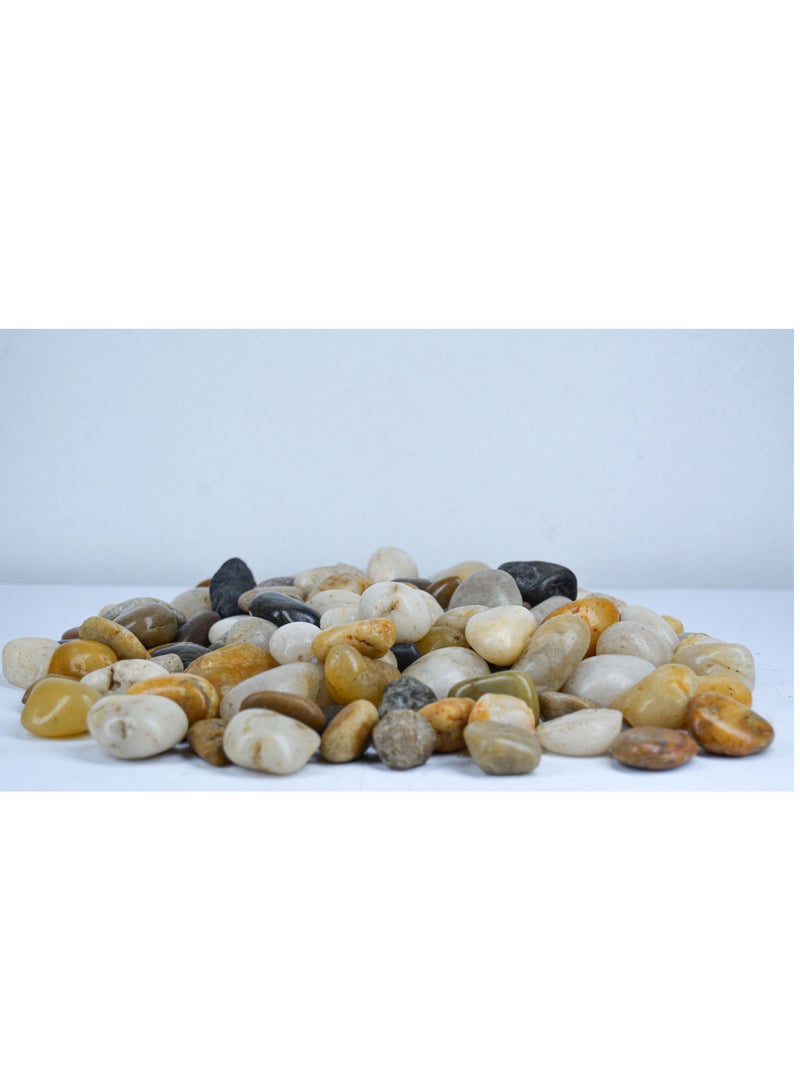 vsell24 2kg of 1-2 cm Indian Decorative Stones - Natural Smooth Pebbles for Aquariums, Vases, Terrariums, Lawns, and Garden Landscaping  - Image 2