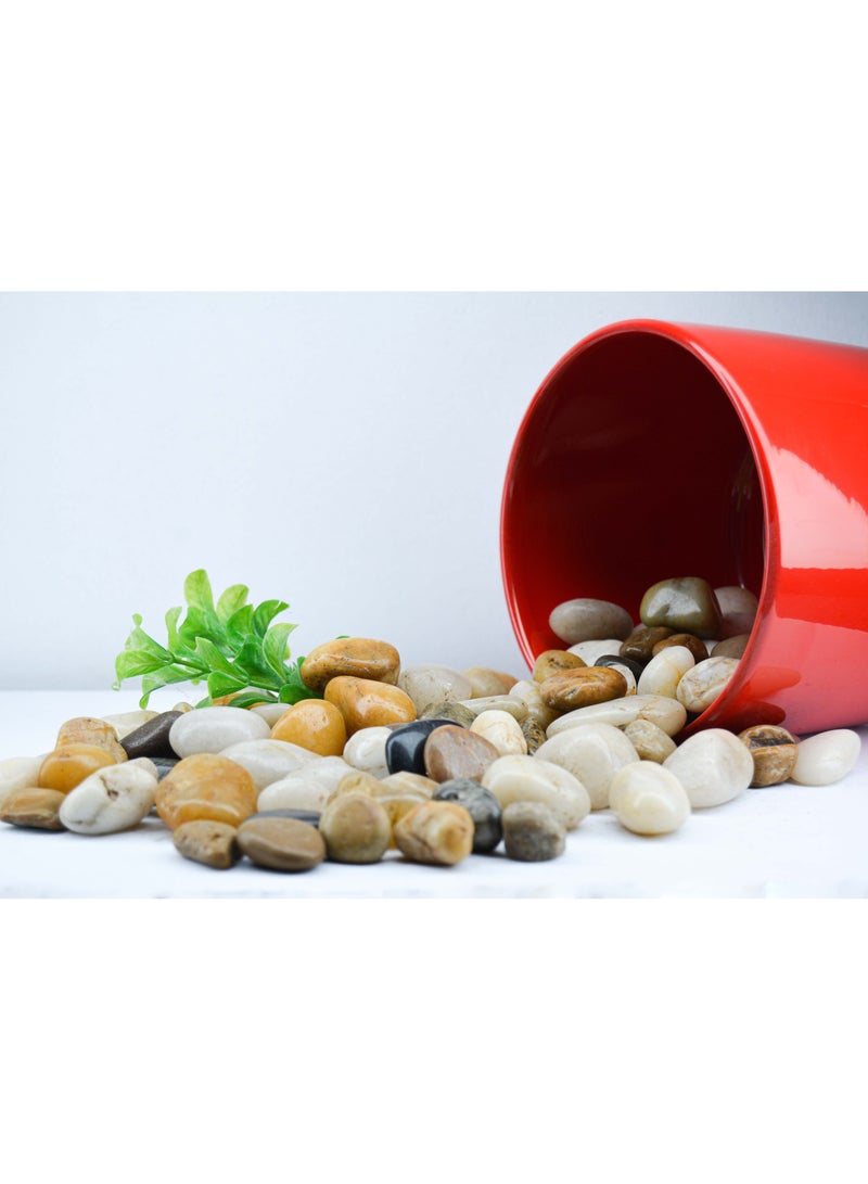 vsell24 2kg of 1-2 cm Indian Decorative Stones - Natural Smooth Pebbles for Aquariums, Vases, Terrariums, Lawns, and Garden Landscaping  - Image 3