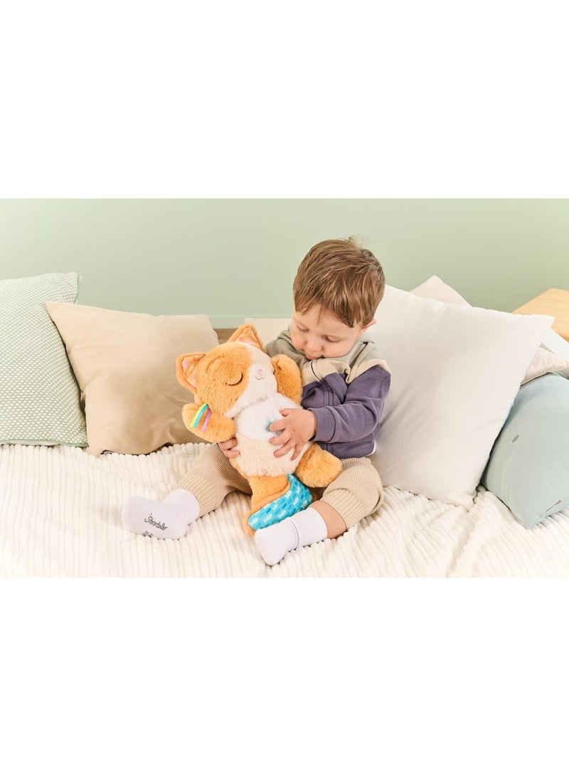 VTech Baby طقم القطط المهدئة من VTech للأطفال، قطة ناعمة ومهدئة مع 3 أوضاع للعب، أصوات طبيعية، خرخرة وحركة تنفس، لعبة تفاعلية، هدية للأطفال من 0، 3، 6، 12 شهرًا وما فوق، النسخة الإنجليزية - Image 5