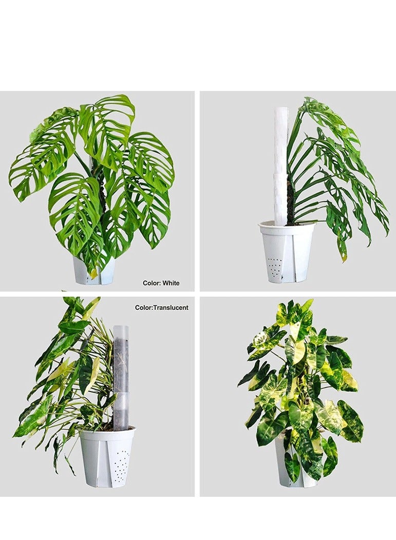 Generic 4 Pcs 17 Inch Plastic Moss Pole for Plants Monstera, Stackable Plant Support for Indoor Climbing Plants  Clear Plant Poles with 1pcs Garden Ties Work with Sphagnum Moss  - Image 3