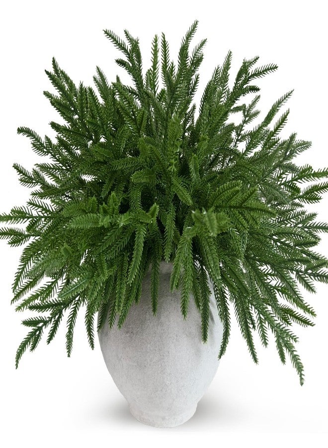 Cherica 12 Pcs Real Touch Norfolk Pine Branches Christmas Decorations, 18 Inch Greenery Xmas Picks Artificial Plants Norfolk Pine Stems Home Decor for Vase DIY Garland Wreath Evergreen Winter Decor - Image 1