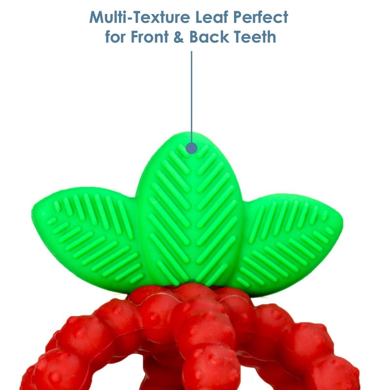 RaZbaby Silicone Infant & Baby Teething Toy, Textured BerryBumps Soothe Babies’ Sore Gums, RaZberry Bites Relief Teether, Back & Front Teeth, BPA Free, Easy to Hold, Fruit Shape for Babies 3M+ - Red - Image 4