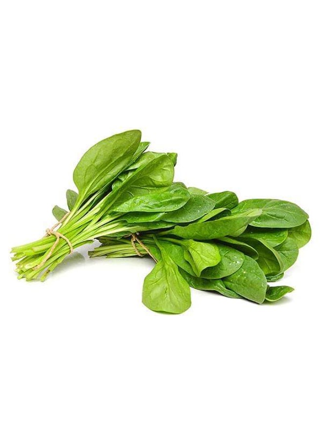 بذور الخضروات الهجينة السبانخ - Image 1