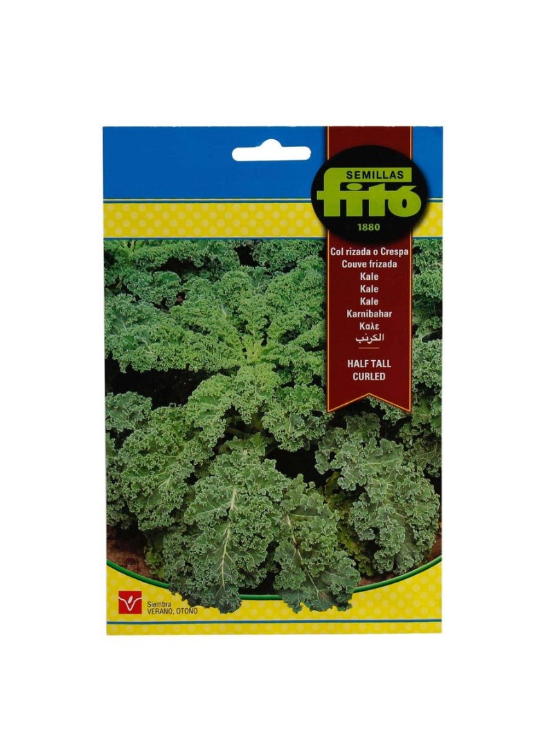 Fito Fito Kale Seed Pack