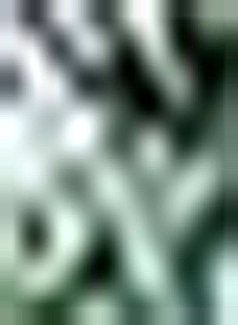 GGOOT 5pcs White Oleander seeds Improve The Environment and Create an Elegant and Unique Atmosphere Bring Intuitive Experience - Image 2