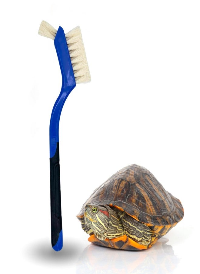 Snout and Shell Turtle Cleaning Brush - Gently Remove Dirt from Turtles and Tortoises - Blue by Snout and Shell - Image 1