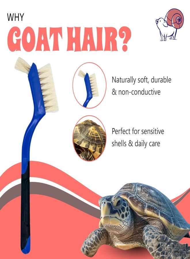 Snout and Shell Turtle Cleaning Brush - Gently Remove Dirt from Turtles and Tortoises - Blue by Snout and Shell - Image 3