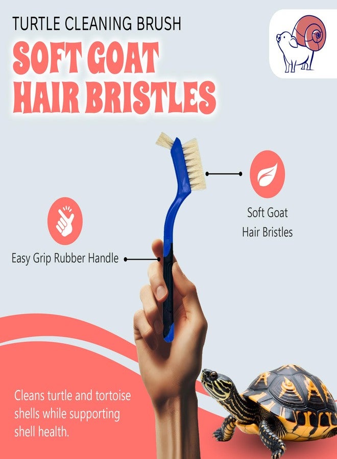 Snout and Shell Turtle Cleaning Brush - Gently Remove Dirt from Turtles and Tortoises - Blue by Snout and Shell - Image 2