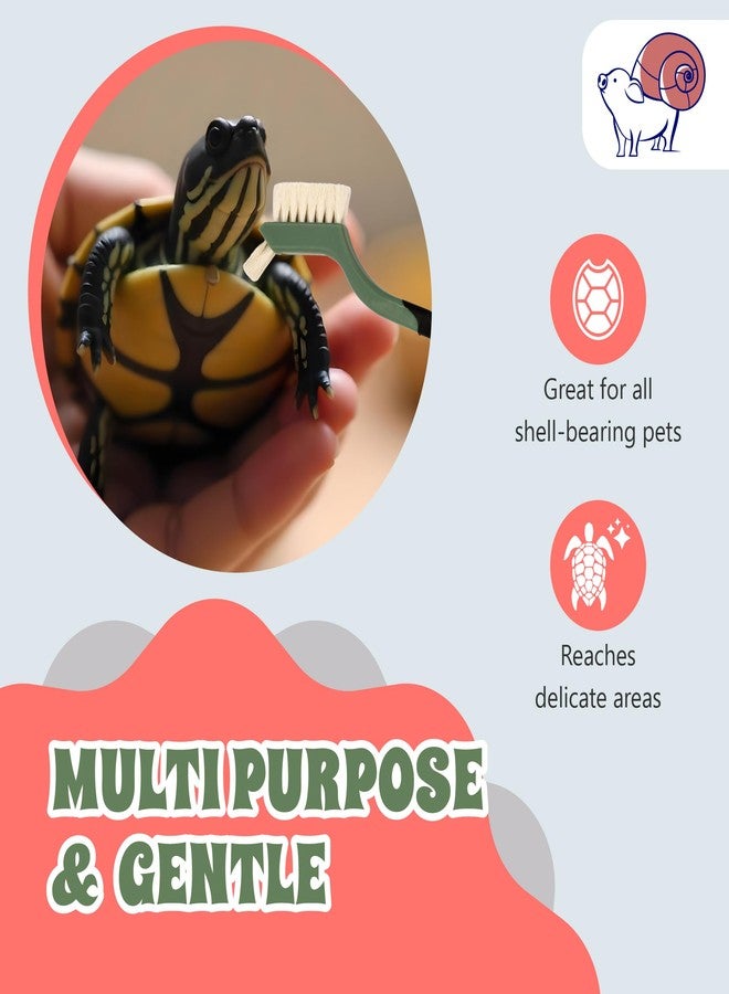 Snout and Shell Turtle Cleaning Brush - Gently Remove Dirt from Turtles and Tortoises - Blue by Snout and Shell - Image 5