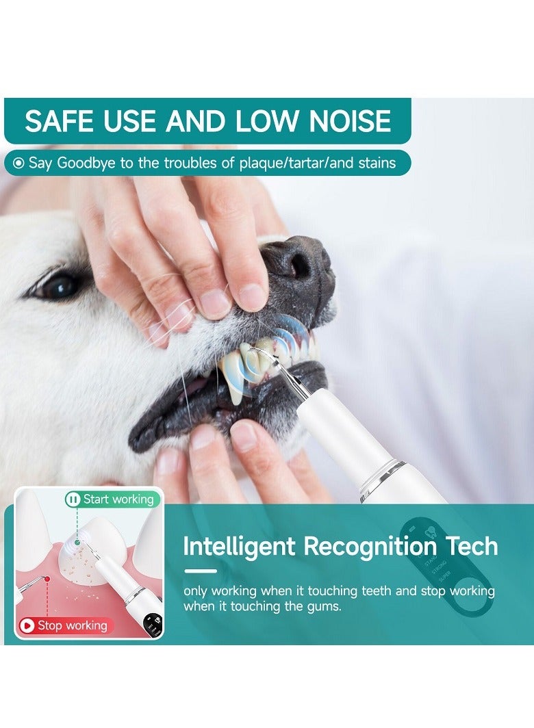 Generic Pet Ultrasonic Teeth Cleaner | Dog Tartar and Plaque Remover | 5-Mode LED Electric Dental Cleaning Kit  - Image 2