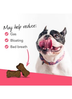VetriScience Laboratories Probiotic Everyday For Dogs Duck Flavor 120 Chews  Itchy Skin Gut Health And Gas Relief With Prebiotics  - Image 4