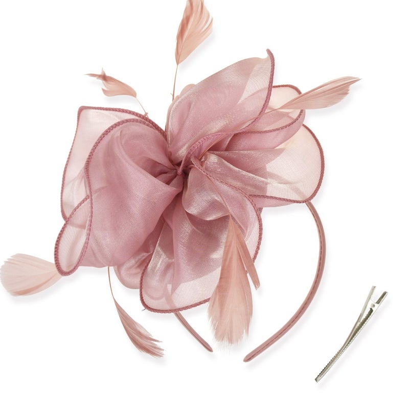DRESHOW Fascinators Hat Tea Party Headwear Ribbons Feathers on a Headband and a Clip for Women - Image 1