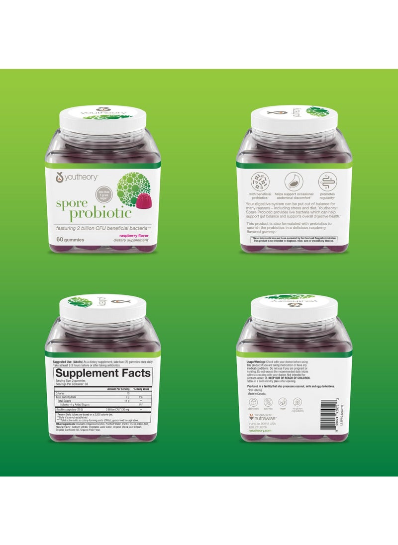 youtheory - Spore Probiotic - With 2 Billion CFU Beneficial Bacteria, Raspberry Flavor.Zero Suger, 60 Gummies, Dietary Supplement - Image 1
