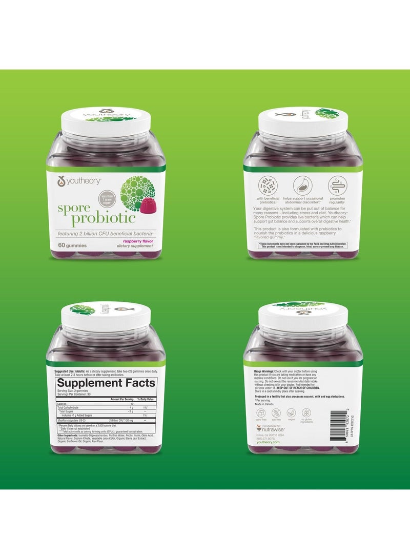 youtheory Spore Probiotic - With 2 Billion CFU Beneficial Bacteria, Raspberry Flavor.Zero Suger, 60 Gummies, Dietary Supplement - Image 4