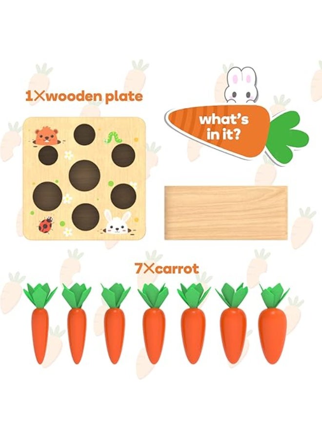 Montessori Carrots Harvest Wooden Baby Toy for 1 Year Old 6-12 Months Educational Shape Sorting Matching for Toddler Fine Motor Skill Development  - Image 5