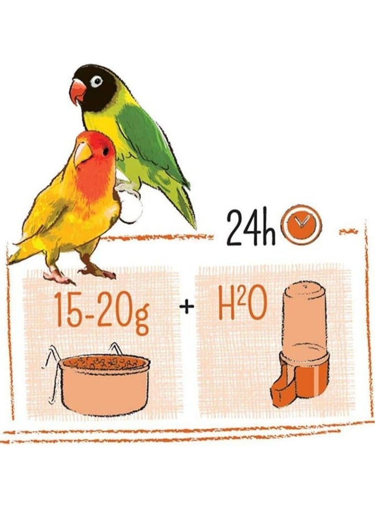 ويت مولين وزن طائر الحب ويت مولين بور - 2 كجم - Image 3