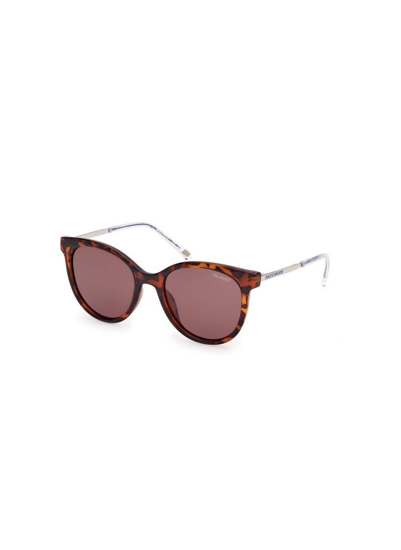 Girls Round Shape  Sunglasses SE0002452D52 Lens Size: 52 Millimeter - Dark Havana - pzsku/Z5EFDBB615D05B250C984Z/45/_/1727713498/ad516a8d-806e-4a09-996e-d8c23b2673bd