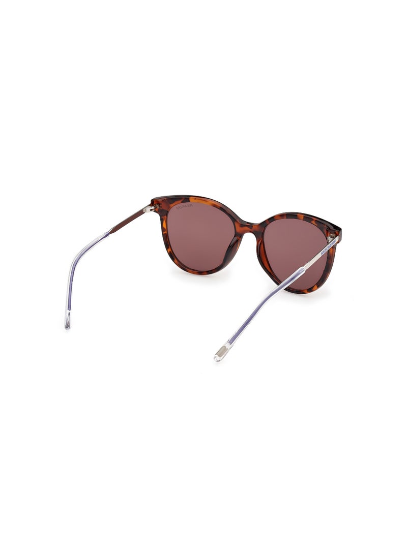 Girls Round Shape  Sunglasses SE0002452D52 Lens Size: 52 Millimeter - Dark Havana - pzsku/Z5EFDBB615D05B250C984Z/45/_/1727713499/d3836499-8304-4c2b-bcf5-a53f79673163