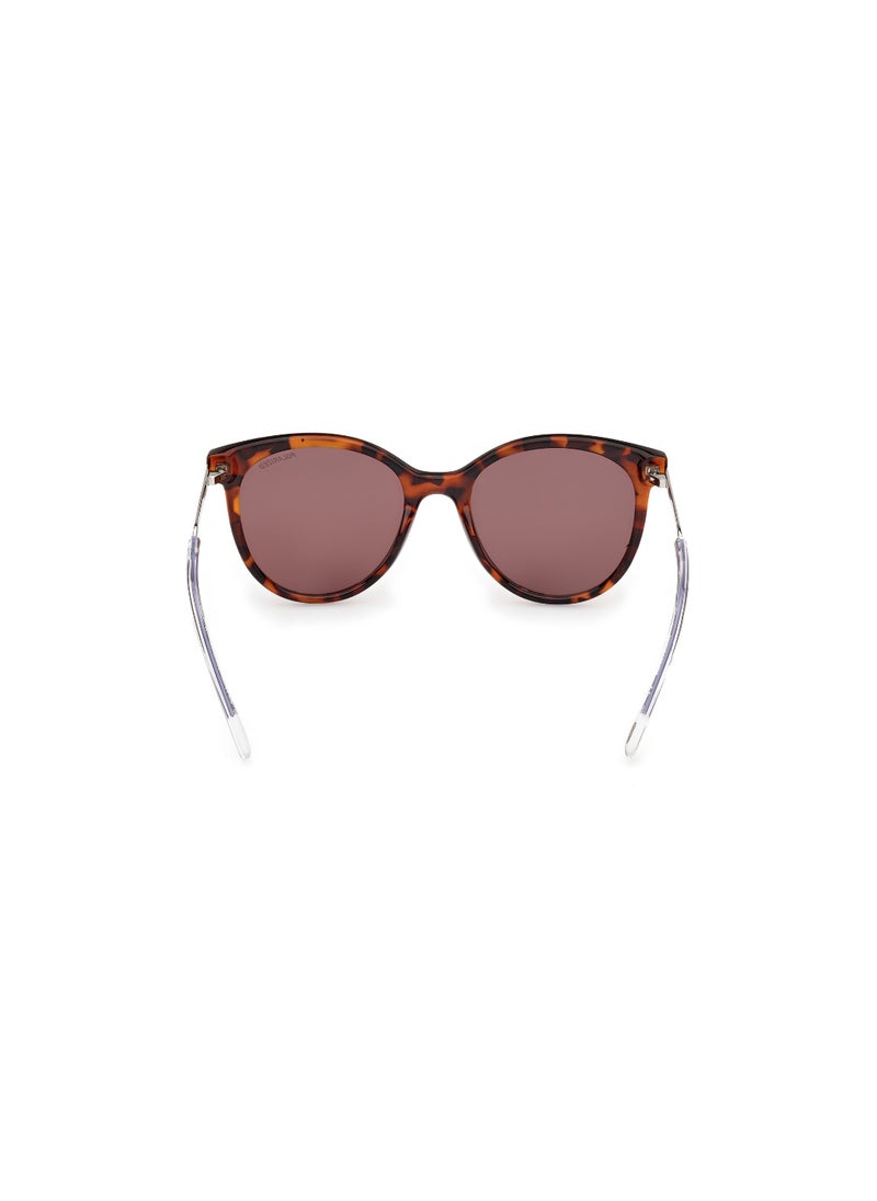 Girls Round Shape  Sunglasses SE0002452D52 Lens Size: 52 Millimeter - Dark Havana - pzsku/Z5EFDBB615D05B250C984Z/45/_/1727713500/d58b7ad6-a93d-47fe-92d8-2c50f08094d7