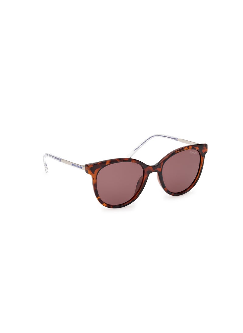 Girls Round Shape  Sunglasses SE0002452D52 Lens Size: 52 Millimeter - Dark Havana - pzsku/Z5EFDBB615D05B250C984Z/45/_/1727713513/89f10acb-2db3-415f-8937-58f8e7c0f5c6