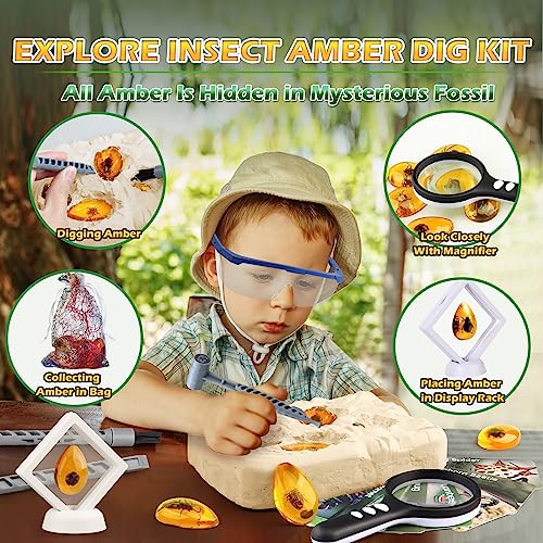 Woumserta Amber Dig Kit - Insects in Resin, 8 Insects Specimens Excavation Kit, Gemstone Bugs for Kids, Fossil Bug Toys Dig Kits for Bugs Collection, Insect Toys for Boys Girls 6 and up Year Old Birthday Gifts - Image 3