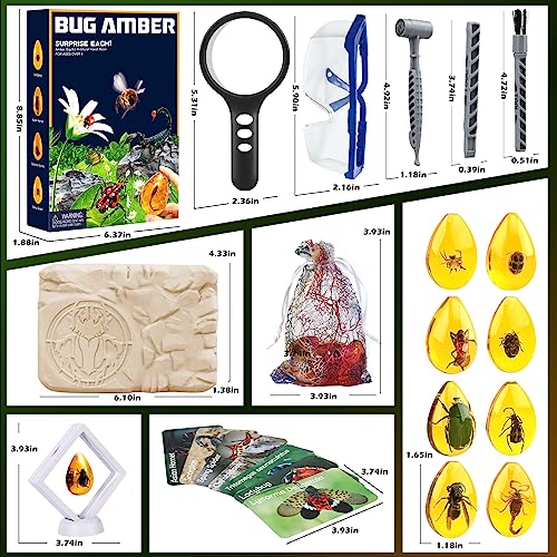 Woumserta Amber Dig Kit - Insects in Resin, 8 Insects Specimens Excavation Kit, Gemstone Bugs for Kids, Fossil Bug Toys Dig Kits for Bugs Collection, Insect Toys for Boys Girls 6 and up Year Old Birthday Gifts - Image 5