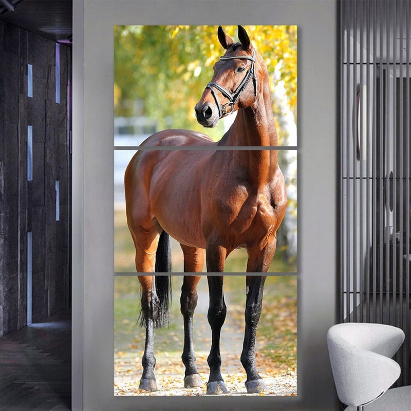 Marktna Three canvas paintings with a horse design and a hollow frame, measuring (90×40), three pieces - Image 1