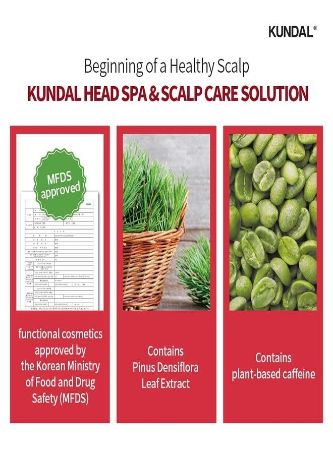 KUNDAL تونك قهوة كوندال لفروة الرأس - يهدئ فروة الرأس، ينشط بصيلات الشعر، مع فيتامين ب3، زيت شجرة الشاي وزيت النعناع، 3.38 أونصة سائلة (100 مل) - Image 4