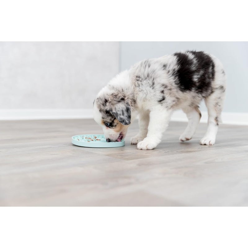 Trixie Junior Licking Mat 6 in, Pet Slow Feeder, for Dogs and Cats - Image 2