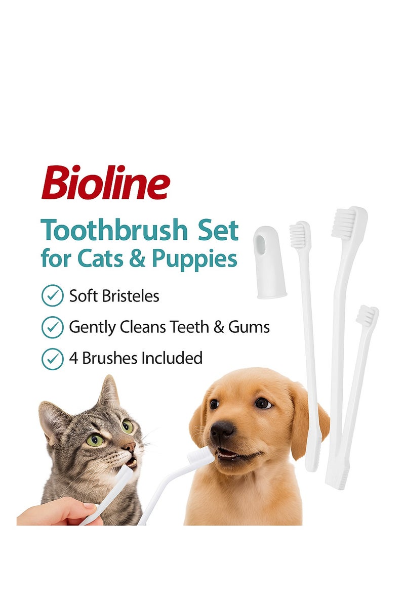 بايولاين مجموعة فرش أسنان بيولاين للقطط والجراء – 4 قطع | فرشاة ناعمة لتنظيف الأسنان والعناية بالفم - Image 2