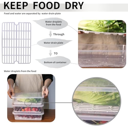 77L Food Storage Container, (3-Pack) Plastic Food Containers with Removable Drain Plate and Lid, Stackable Portable Freezer Storage Containers - Tray to Keep Fruits, Vegetables, Meat and More - Image 2
