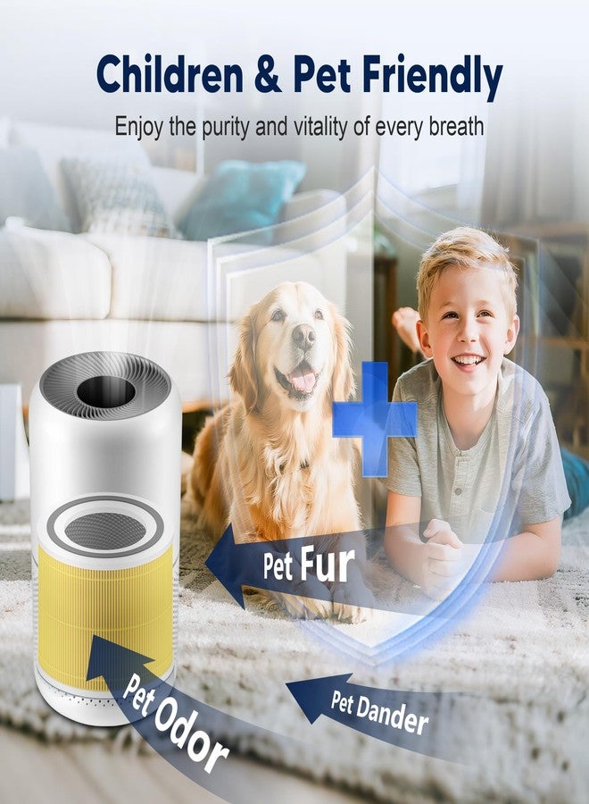 PETOX Core 300 Pet Care Replacement Filter for LEVOIT Core 300 Core 300-P Core 300S Core 300S-P Vortex Air Air Purifier, 3-in-1 High-Efficiency Activated Carbon, Core 300-RF-PA, 2 Pack, Yellow - Image 3