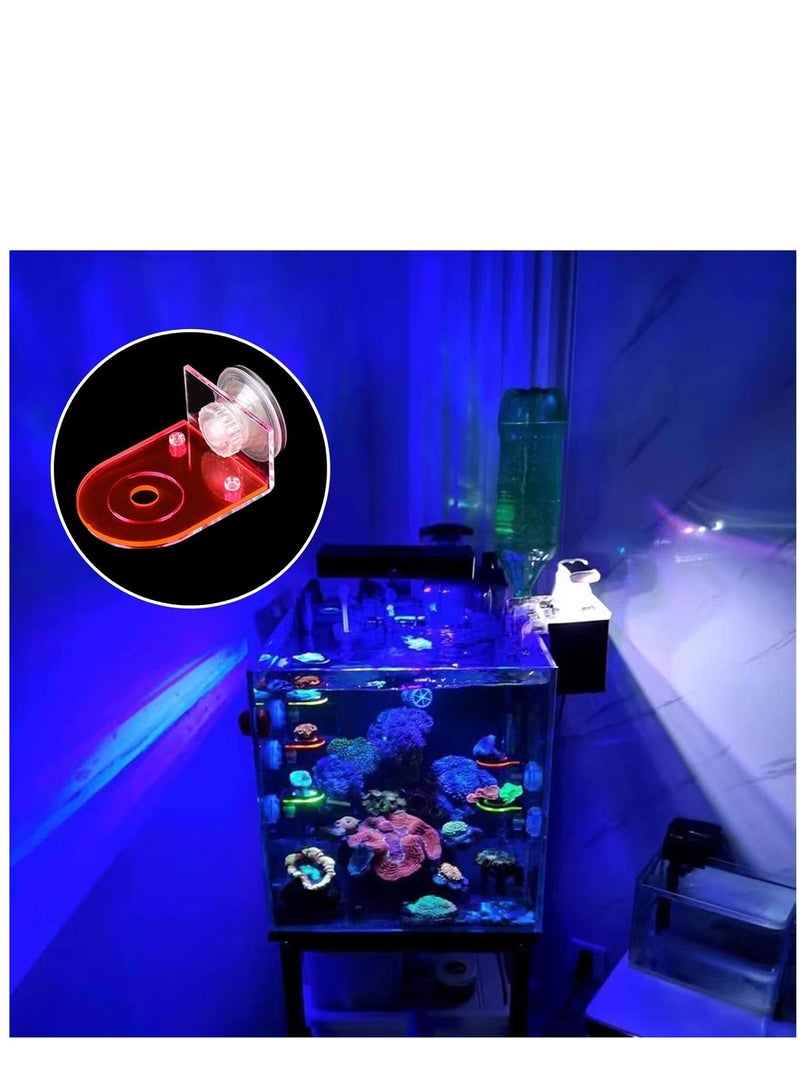 SYOSI 4 Pcs Acrylic Coral Frag Rack, Fluorescent Coral Frag Rack with Powerful Suction Cup Coral Frag Holder Stand Reef Base Accessories for Household Fish Tanks - Image 4