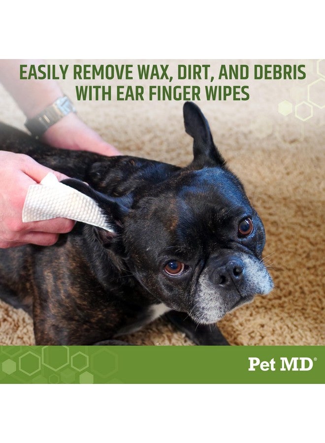 بيت إم دي مناديل تنظيف أذن الكلاب من Pet MD - تغطية إضافية وتصميم كبير - برائحة الأوكالبتوس والصبار للكلاب - مناديل تنظيف أذن الحيوانات الأليفة بدون كحول ومنظف أذن الجراء - 50 قطعة - Image 2