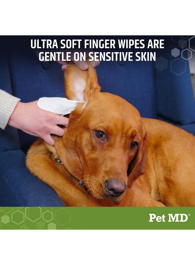 بيت إم دي مناديل تنظيف أذن الكلاب من Pet MD - تغطية إضافية وتصميم كبير - برائحة الأوكالبتوس والصبار للكلاب - مناديل تنظيف أذن الحيوانات الأليفة بدون كحول ومنظف أذن الجراء - 50 قطعة - Image 4