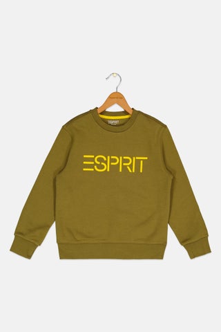 Kids Boy Long Sleeves Brand Logo Sweatshirt, Olive - pzsku/Z5F07593A6466406FF1C5Z/45/1747232691/b2b0e8df-da2c-4b2e-8360-7daa7291cdff