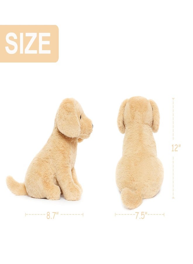 WEIGEDU Golden Retriever Stuffed Animal Dog Puppy Plush Toy with Embroidered Eyes for Babies, Boys, Girls, Kids - No Hard Parts, 12 inches - Image 5