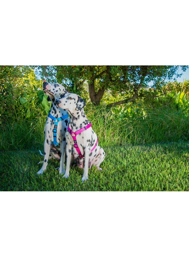 Rogz Reflective Adjustable Dog H Harness for Large Dogs; matching collar and leash available, Orange - Image 3