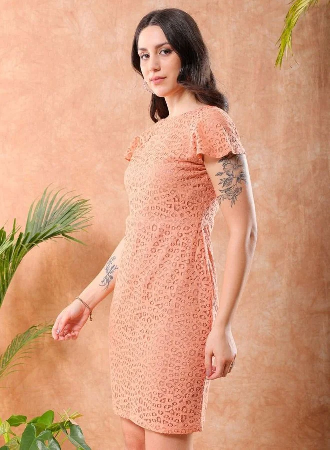 Freehand  Women Regular Fit Lace Round Neck Sleeveless Sheath Dress for Women | Best Price UAE