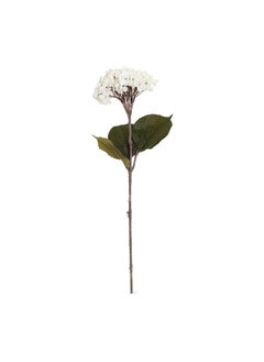 Single Hydrangea With 3 Leaves, Cream - 60 Cm - pzsku/Z5F09C0CDB38D5D989AD8Z/45/_/1718169618/b81159b4-ca1f-4f70-b63d-f0fe55b5f5f7