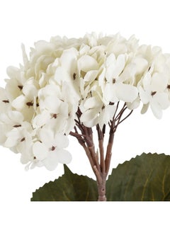 Single Hydrangea With 3 Leaves, Cream - 60 Cm - pzsku/Z5F09C0CDB38D5D989AD8Z/45/_/1718169619/1e07fc80-5a7d-4866-a2ac-13d923d7f1ee