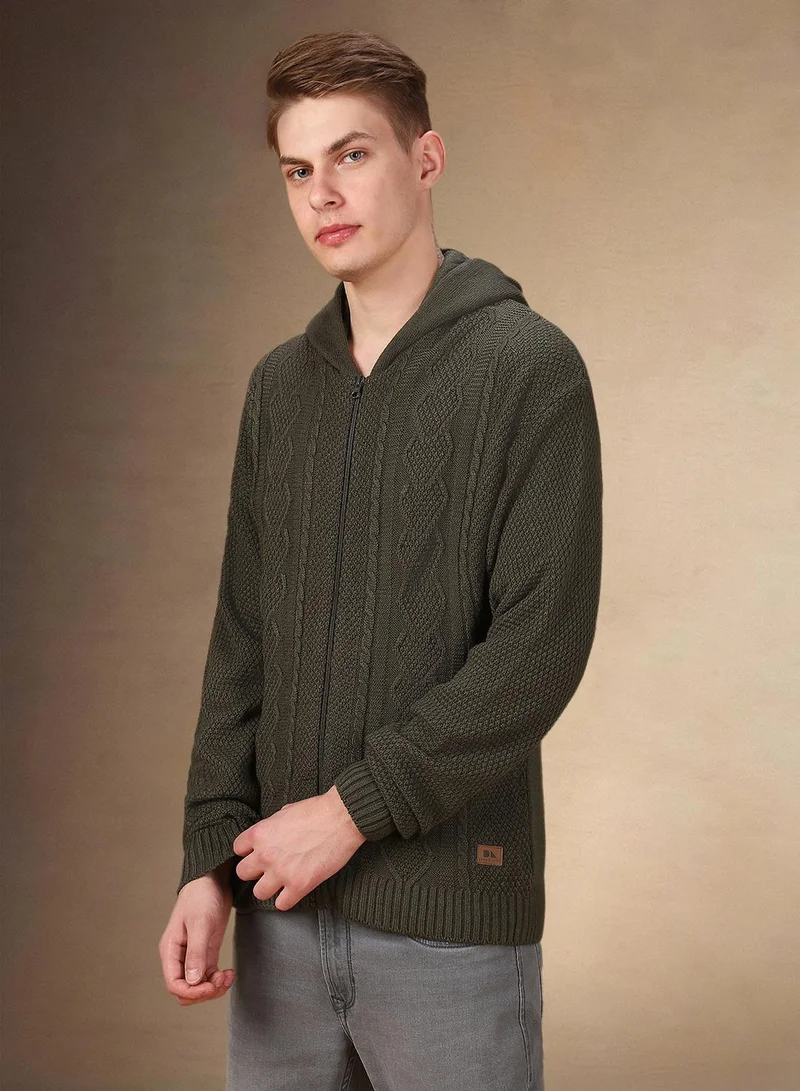 Dennis Lingo Men's Olive 100% Acrylic Solid Regular Fit Sweater