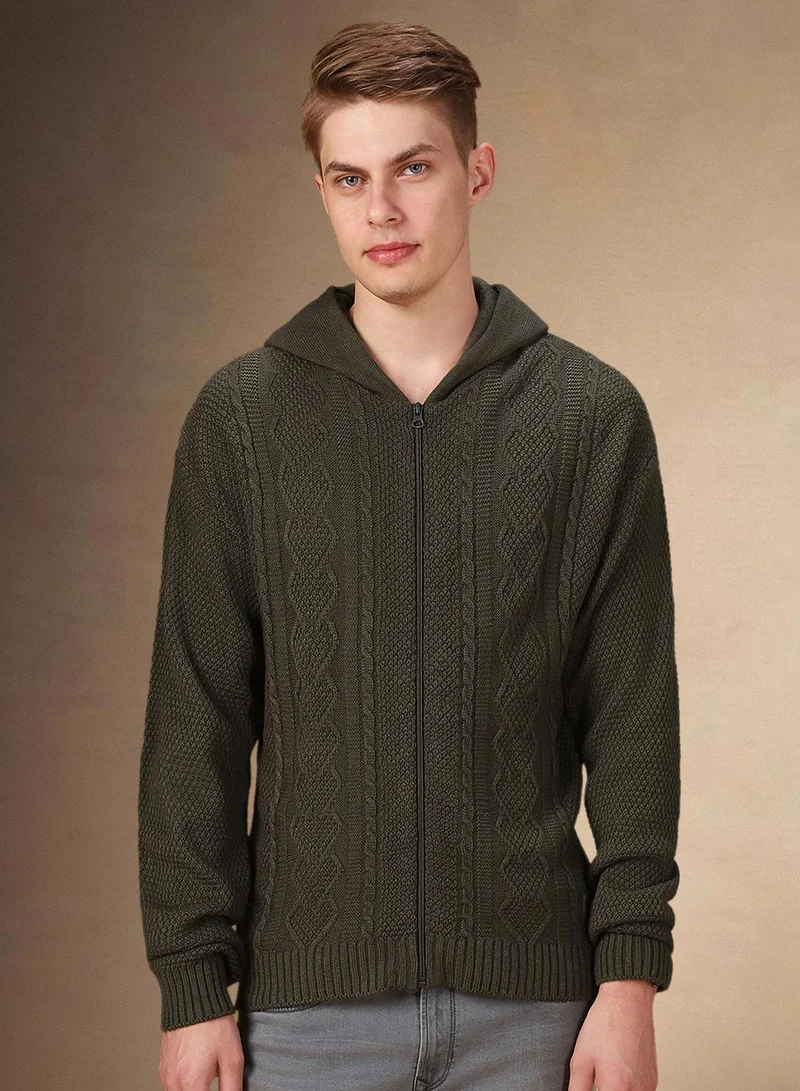 دينيس لينغو Men's Olive 100% Acrylic Solid Regular Fit Sweater