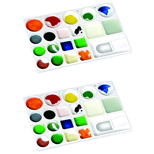 CARIZO Artist Combo Rectangle Light Weight Colour Mixing Palette for Oil Acrylic or Watercolour Paints (Set of 2)