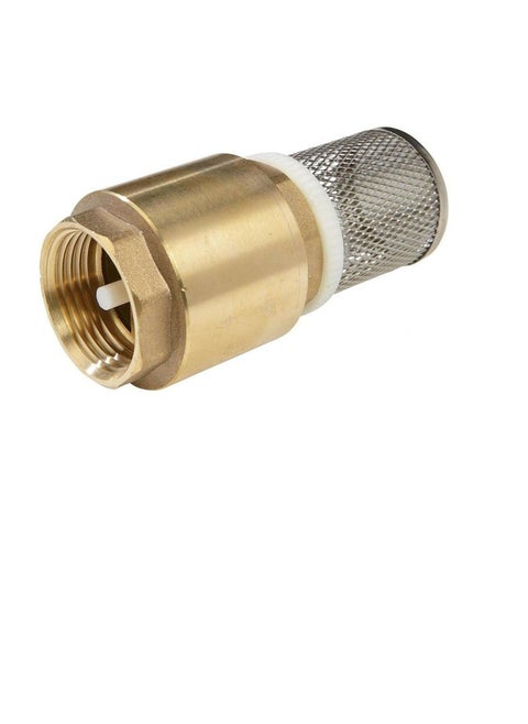 PEGLER Brass Foot Valve 2"