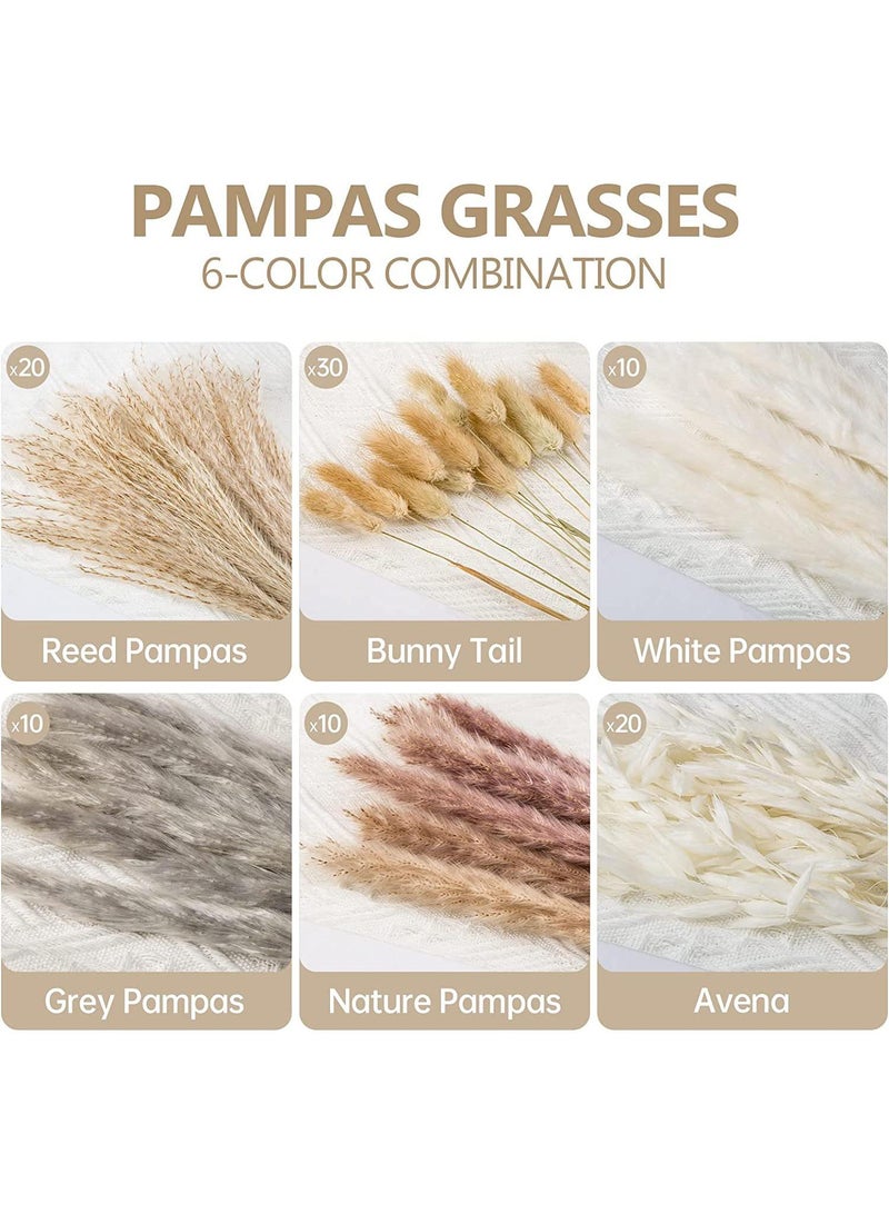 Generic 100 Pcs Dried Pampas Grass Dried Flowers Of Small Reeds Boho Natural Flowers Arrangements White Reed Bunny Tails for Home Decor Flower Living Room Balcony Wedding Party 