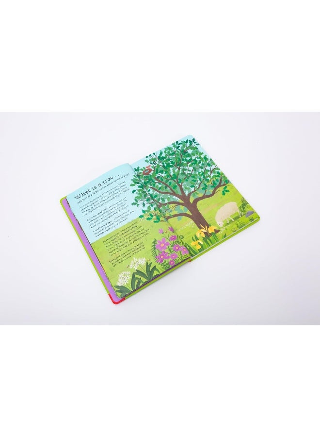 National Trust: Out and About: Tree Explorer: A children's guide to 60 different trees - Image 4