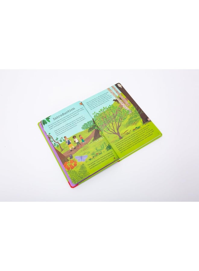 National Trust: Out and About: Tree Explorer: A children's guide to 60 different trees - Image 3