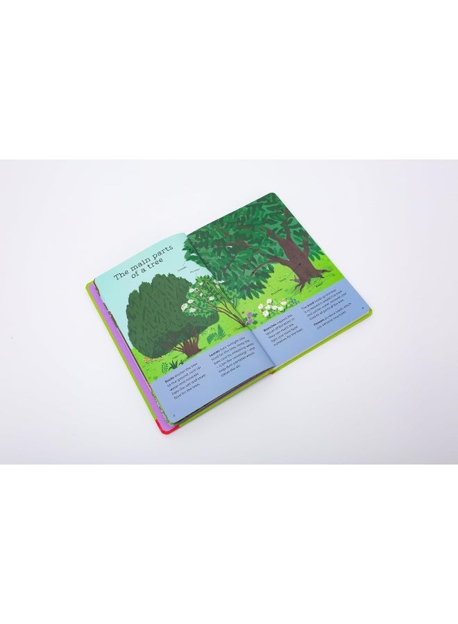 National Trust: Out and About: Tree Explorer: A children's guide to 60 different trees - Image 5