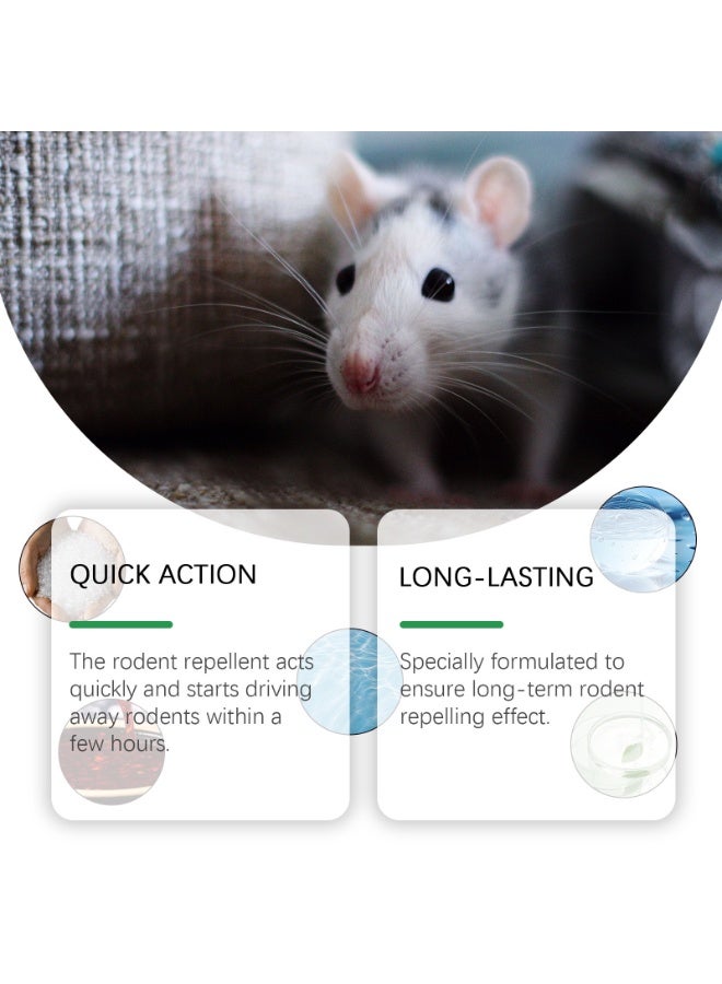 مونسبري Rodent Repellent, Peppermint Oil Insect Repellent Spray – Natural Indoor & Outdoor Bug Control for Rats, and More – Plant-Based, Extra-Strong Formula - 5 oz - Image 2